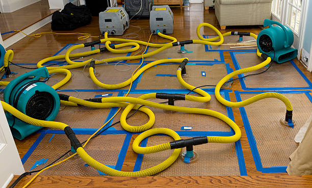 Professional Basement Flood Cleanup technician working in Henagar, AL